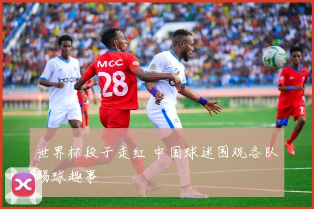 世界杯段子走红 中国球迷围观各队踢球趣事