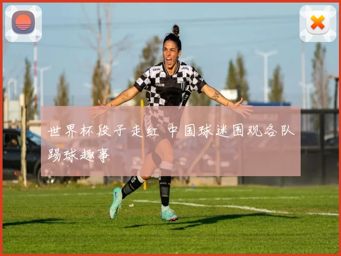 世界杯段子走红 中国球迷围观各队踢球趣事